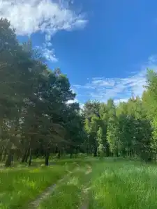 Русские просторы - 33