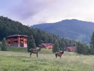 Королевский Марал - 46