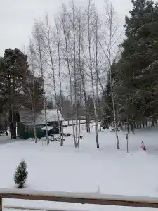 Хатунь - Звездочка - 40