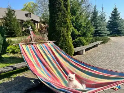 Агроусадьба Беловежская Гостевая - 9