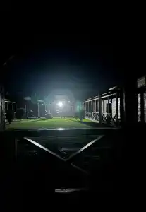 Цветок Лотоса - 12