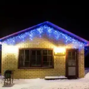 Снегири - 9
