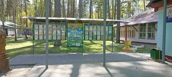 Романтика - 12