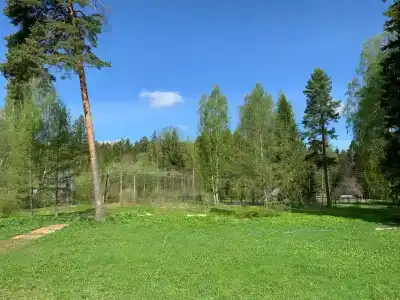 Городец - 11