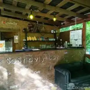 Сосновый Бор - 17