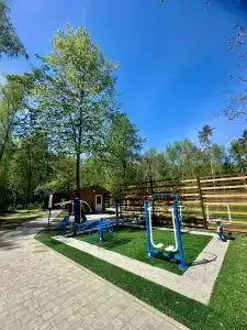 Подберёзовик - 24