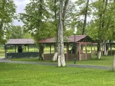 Арвайдæн - 29