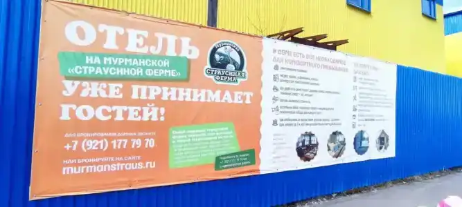 Мурманская страусиная ферма - 71