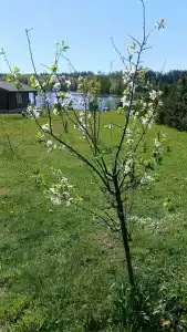 Семейный домик у озера - 41