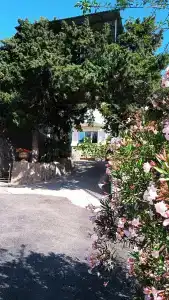 Гостевой дом на Шулейкина 18 - 41
