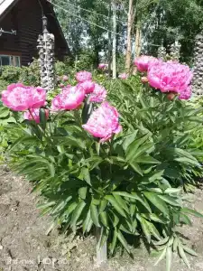 Длинный берег - 48