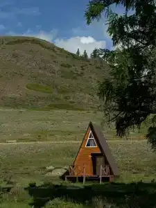 Алтынсай - 12