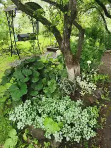 Усадьба Сафроновых - 11