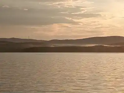 Сосенка - 46