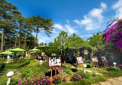 Dalat Cadasa Resort - 19