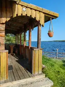 Аурелия - 17