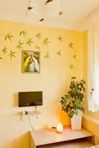 Ленивый Дельфин - 66