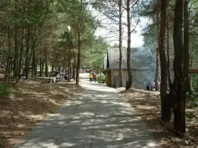 Теремок - 4
