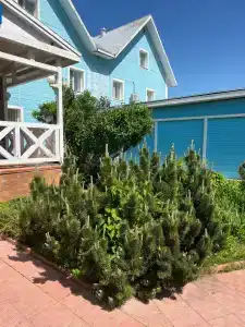 Чистые Пруды - 34