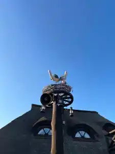 Диканька на Тамани - 16