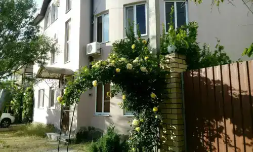 Розовый фламинго - 18