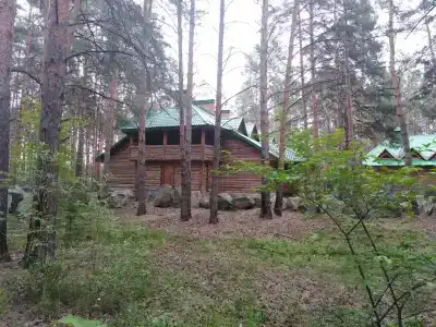 Сосновый бор - 33