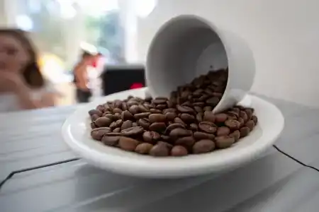 Семейный курорт - 33