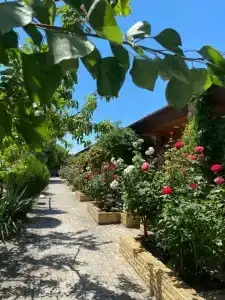 Казантипская хижина - 81