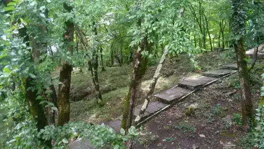 Райский уголок - 18