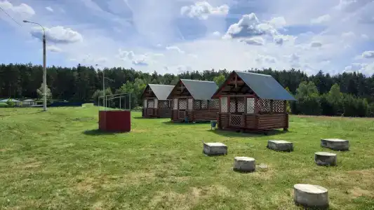Сосновка - 29