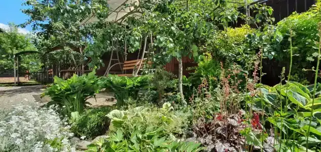 Любимый Суздаль - 52