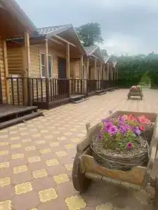 Виста - 16