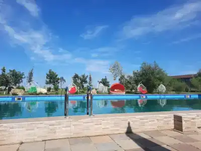 Электра Холидей - 71