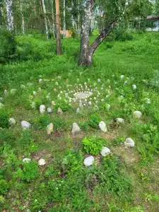 Острова Ершовы - 36