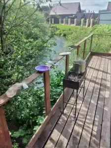Дом бобра - 10