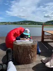 Дача в соснах - 23