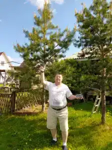 Мантиансаари - 62