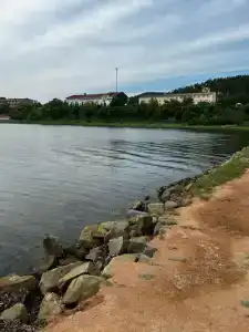 Белый лебедь - 5