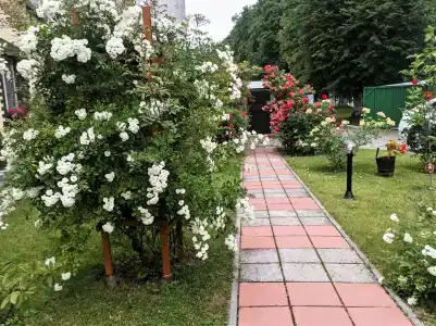 Тихая Гавань - 75