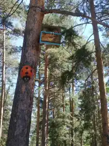 Рассвет - 17