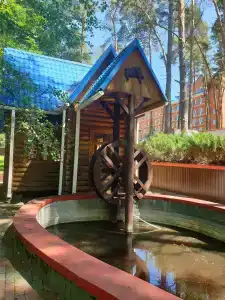 Нежеголь - 12
