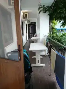 Фламинго - 91