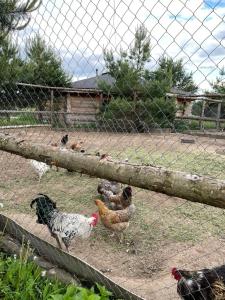 Усадьба Долгорукий - 57