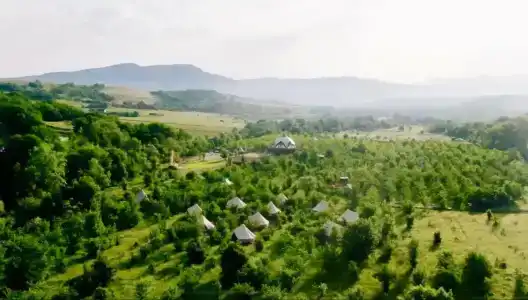 Арт-Ковчег - 1