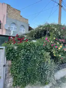 у Тамары - 0