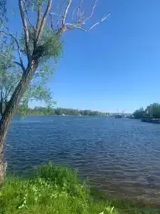 Чайка - 1