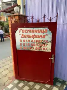 Дельфина - 11