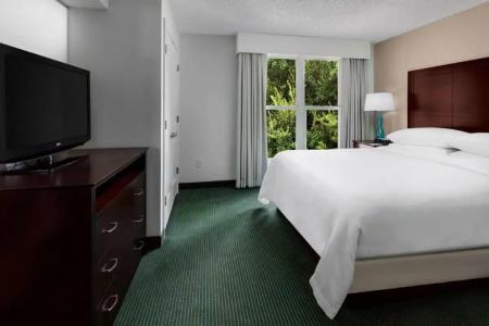 Embassy Suites by Hilton- Lake Buena Vista Resort - 32
