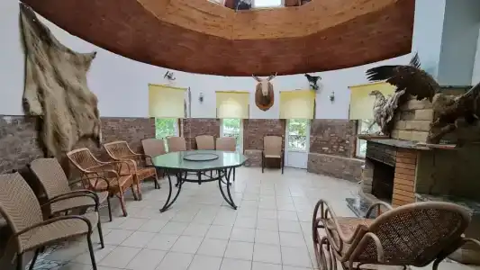 Розовый Фламинго - 2