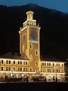 Голден Тюлип - 60